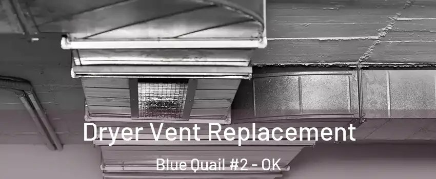 Dryer Vent Replacement Blue Quail #2 - OK
