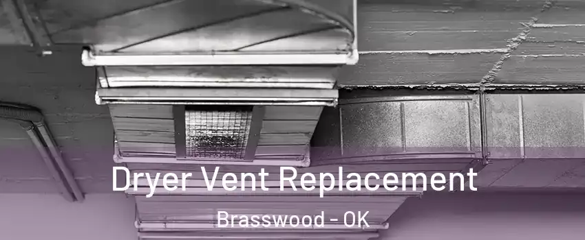 Dryer Vent Replacement Brasswood - OK