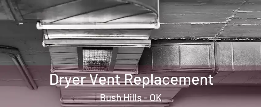 Dryer Vent Replacement Bush Hills - OK