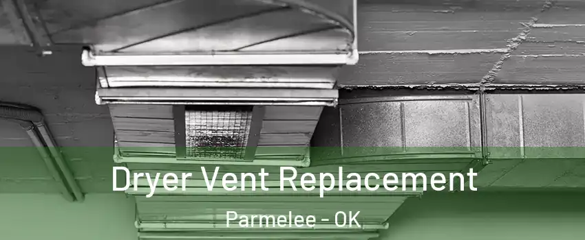 Dryer Vent Replacement Parmelee - OK