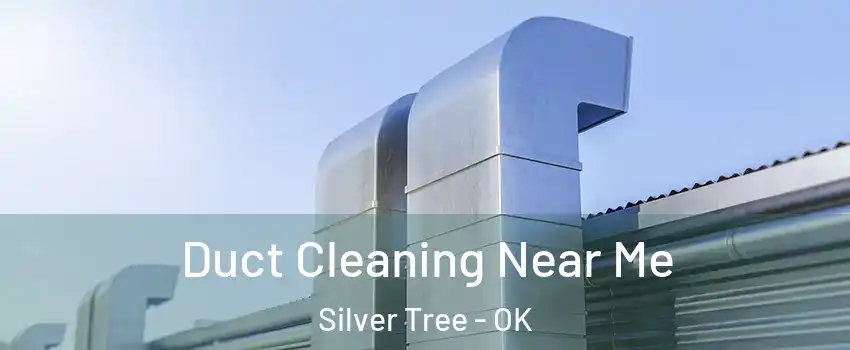 Duct Cleaning Near Me Silver Tree - OK