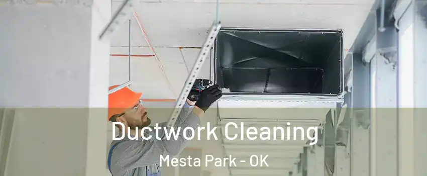 Ductwork Cleaning Mesta Park - OK