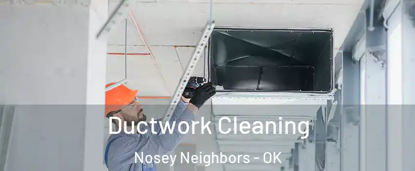 Ductwork Cleaning Nosey Neighbors - OK