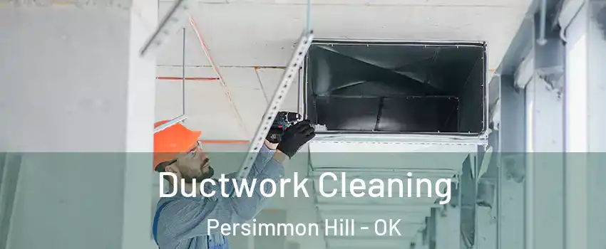 Ductwork Cleaning Persimmon Hill - OK