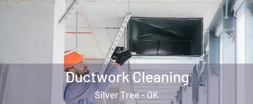 Ductwork Cleaning Silver Tree - OK