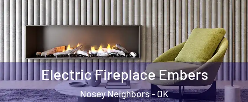 Electric Fireplace Embers Nosey Neighbors - OK