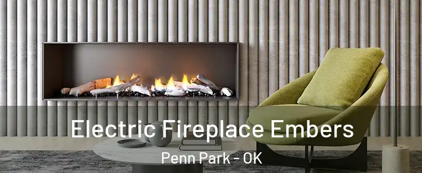 Electric Fireplace Embers Penn Park - OK