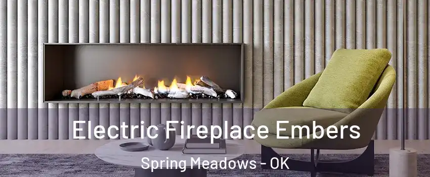 Electric Fireplace Embers Spring Meadows - OK
