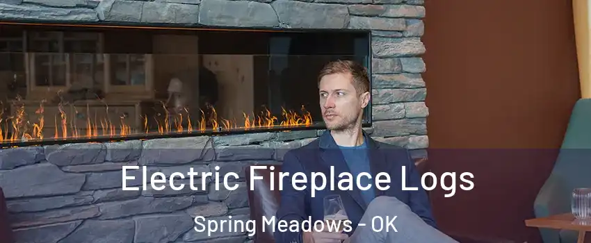 Electric Fireplace Logs Spring Meadows - OK