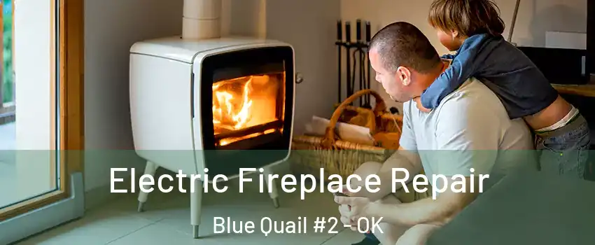 Electric Fireplace Repair Blue Quail #2 - OK