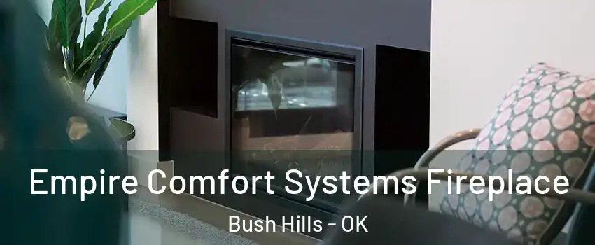 Empire Comfort Systems Fireplace Bush Hills - OK