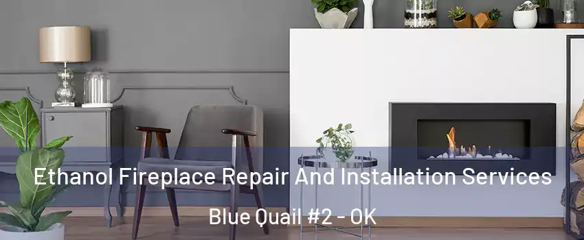 Ethanol Fireplace Repair And Installation Services Blue Quail #2 - OK