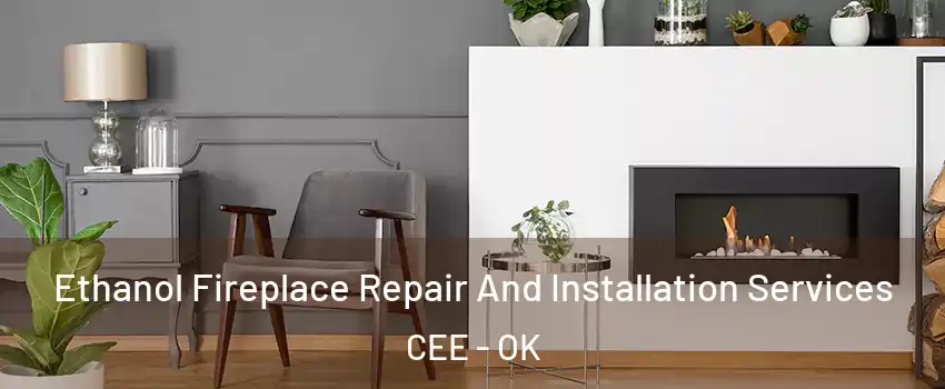 Ethanol Fireplace Repair And Installation Services CEE - OK