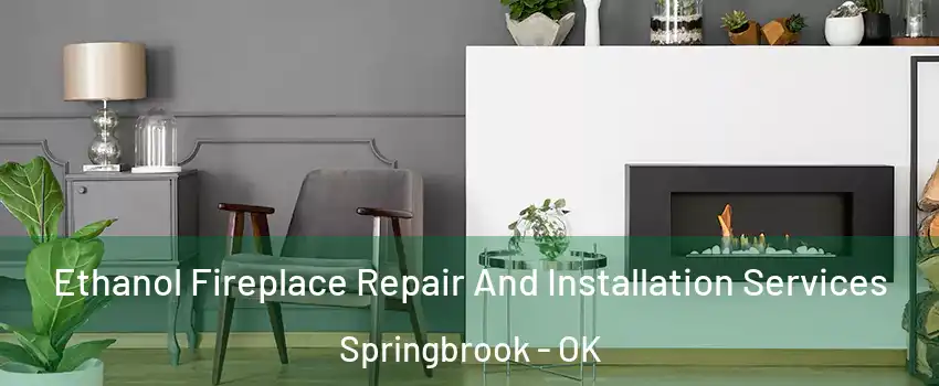 Ethanol Fireplace Repair And Installation Services Springbrook - OK