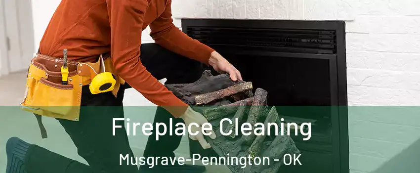 Fireplace Cleaning Musgrave-Pennington - OK