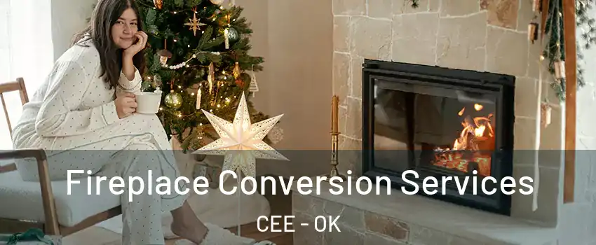 Fireplace Conversion Services CEE - OK