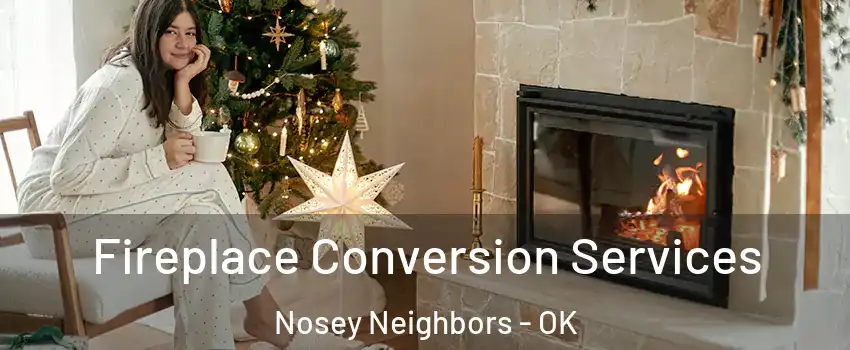 Fireplace Conversion Services Nosey Neighbors - OK