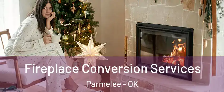 Fireplace Conversion Services Parmelee - OK