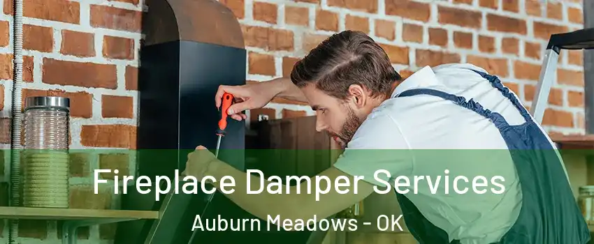 Fireplace Damper Services Auburn Meadows - OK
