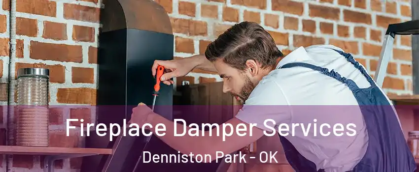 Fireplace Damper Services Denniston Park - OK