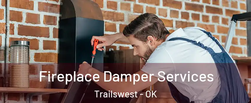 Fireplace Damper Services Trailswest - OK