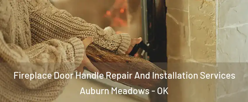 Fireplace Door Handle Repair And Installation Services Auburn Meadows - OK