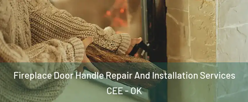 Fireplace Door Handle Repair And Installation Services CEE - OK