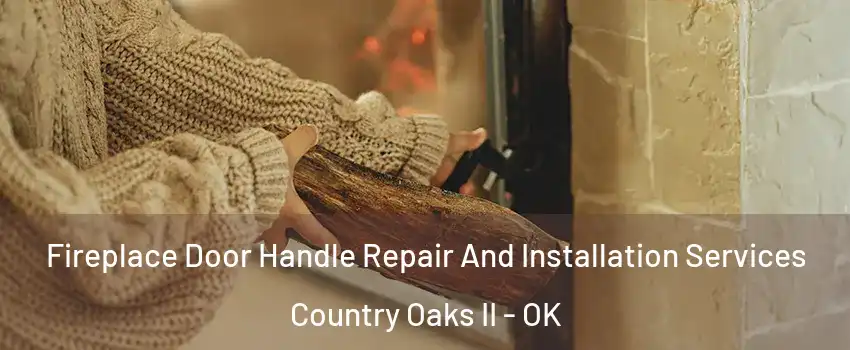 Fireplace Door Handle Repair And Installation Services Country Oaks II - OK