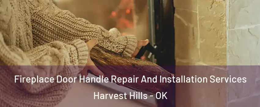 Fireplace Door Handle Repair And Installation Services Harvest Hills - OK