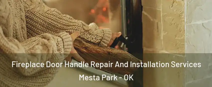 Fireplace Door Handle Repair And Installation Services Mesta Park - OK