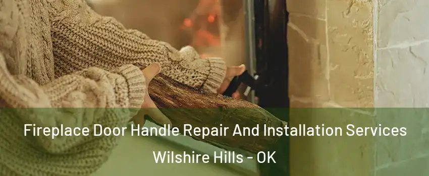 Fireplace Door Handle Repair And Installation Services Wilshire Hills - OK