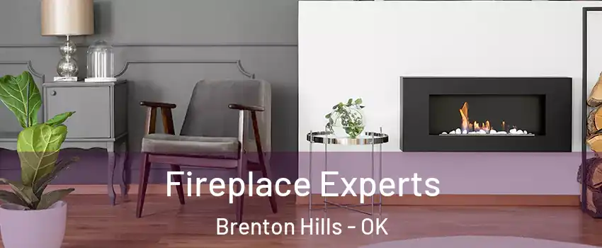 Fireplace Experts Brenton Hills - OK