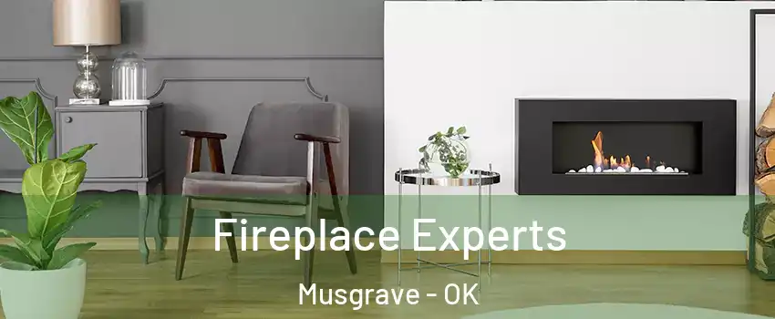 Fireplace Experts Musgrave - OK