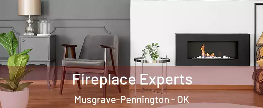 Fireplace Experts Musgrave-Pennington - OK