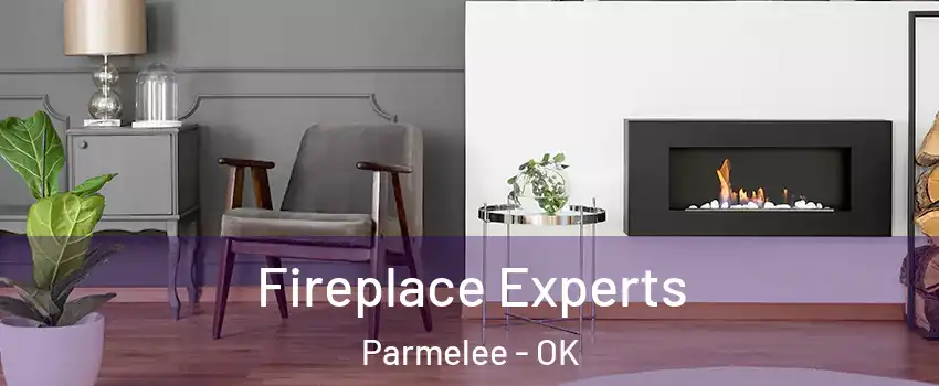 Fireplace Experts Parmelee - OK