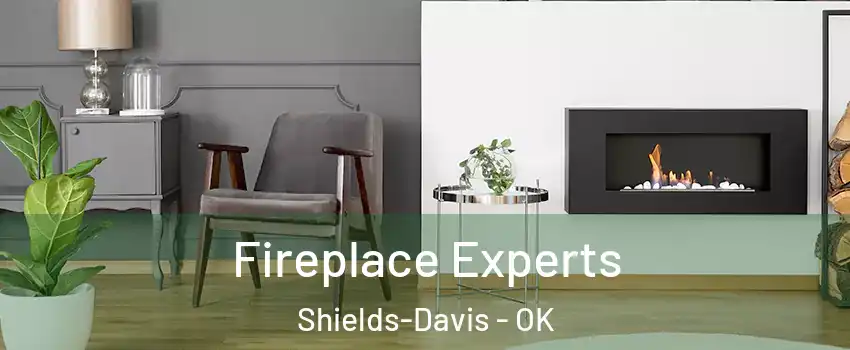 Fireplace Experts Shields-Davis - OK