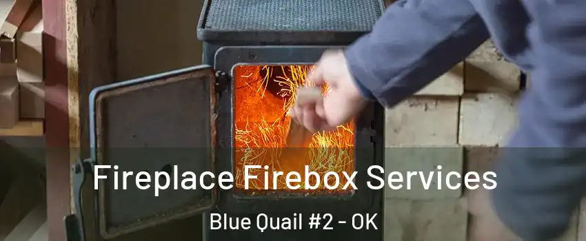 Fireplace Firebox Services Blue Quail #2 - OK