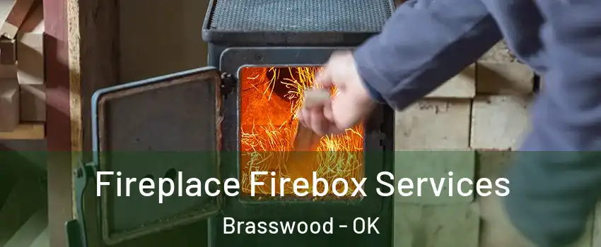 Fireplace Firebox Services Brasswood - OK