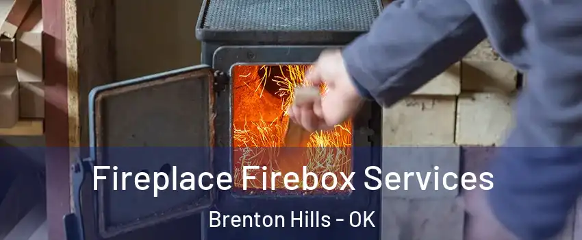Fireplace Firebox Services Brenton Hills - OK