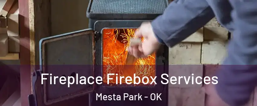 Fireplace Firebox Services Mesta Park - OK