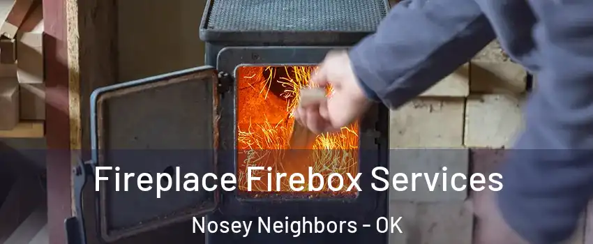 Fireplace Firebox Services Nosey Neighbors - OK