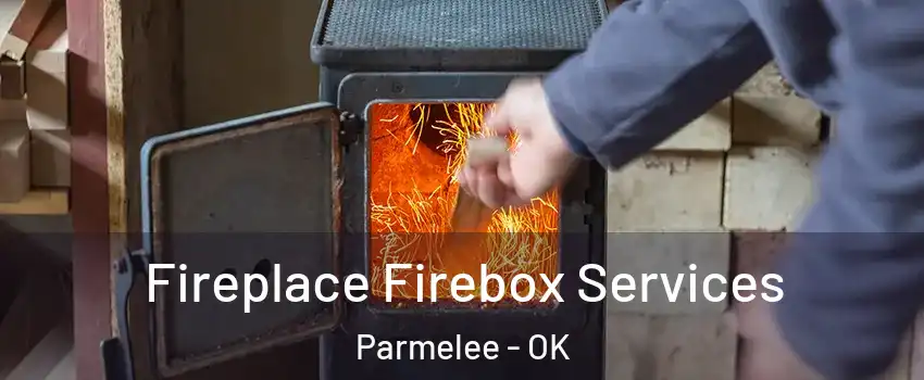 Fireplace Firebox Services Parmelee - OK