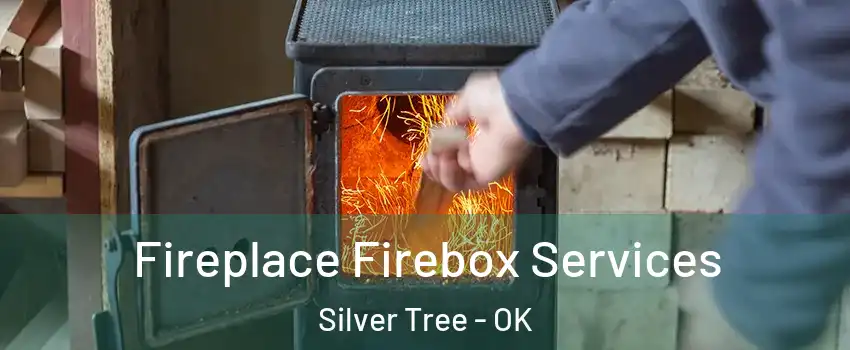 Fireplace Firebox Services Silver Tree - OK