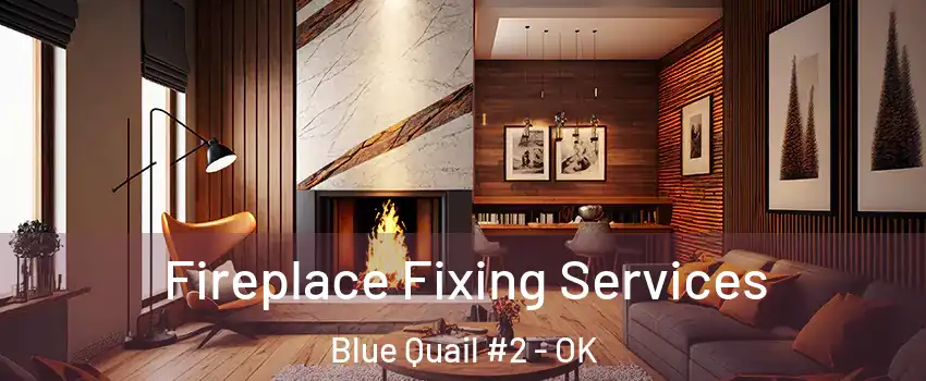 Fireplace Fixing Services Blue Quail #2 - OK