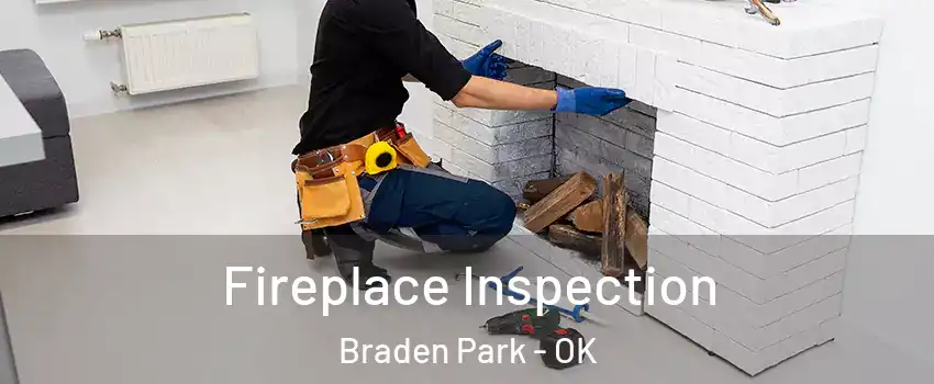 Fireplace Inspection Braden Park - OK