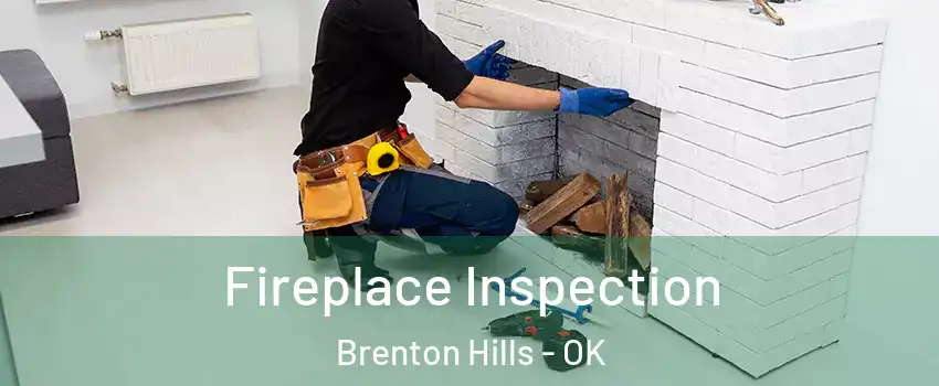 Fireplace Inspection Brenton Hills - OK