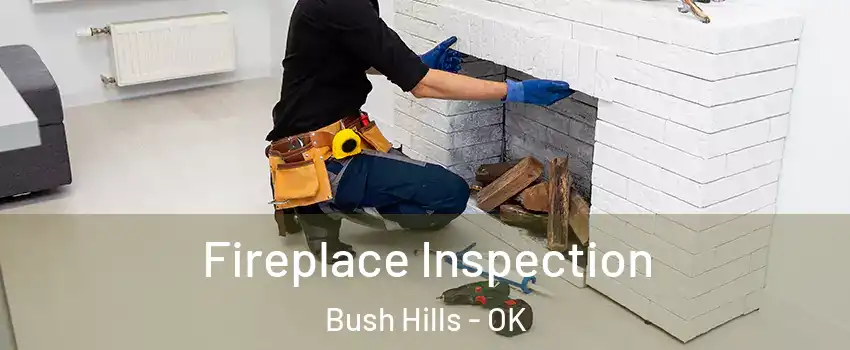 Fireplace Inspection Bush Hills - OK