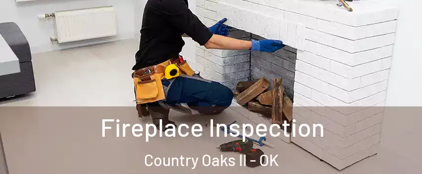 Fireplace Inspection Country Oaks II - OK