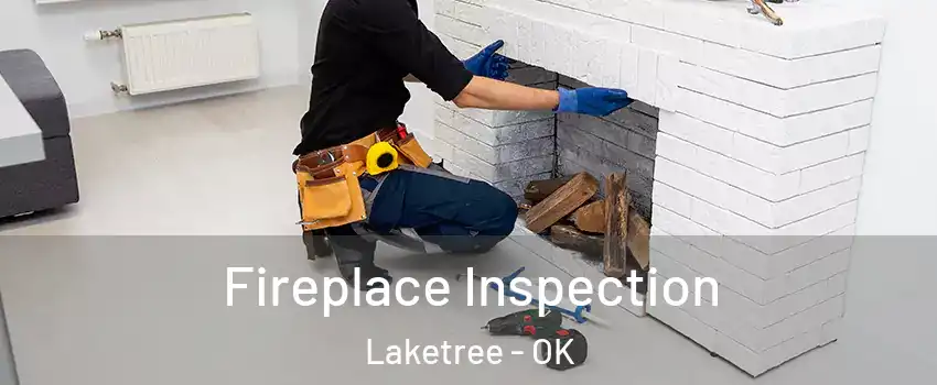Fireplace Inspection Laketree - OK