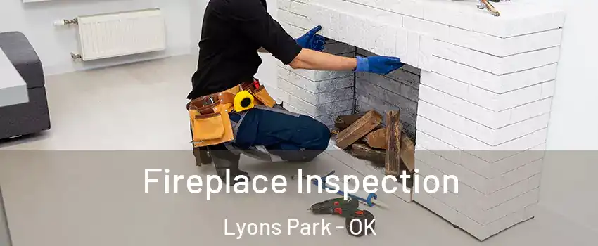 Fireplace Inspection Lyons Park - OK
